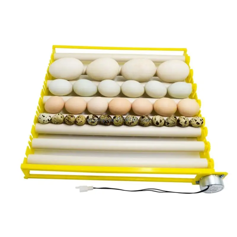Automatic Rotary Egg Turner Roller Tray Duck Quail Bird Poultry Eggs Incubator