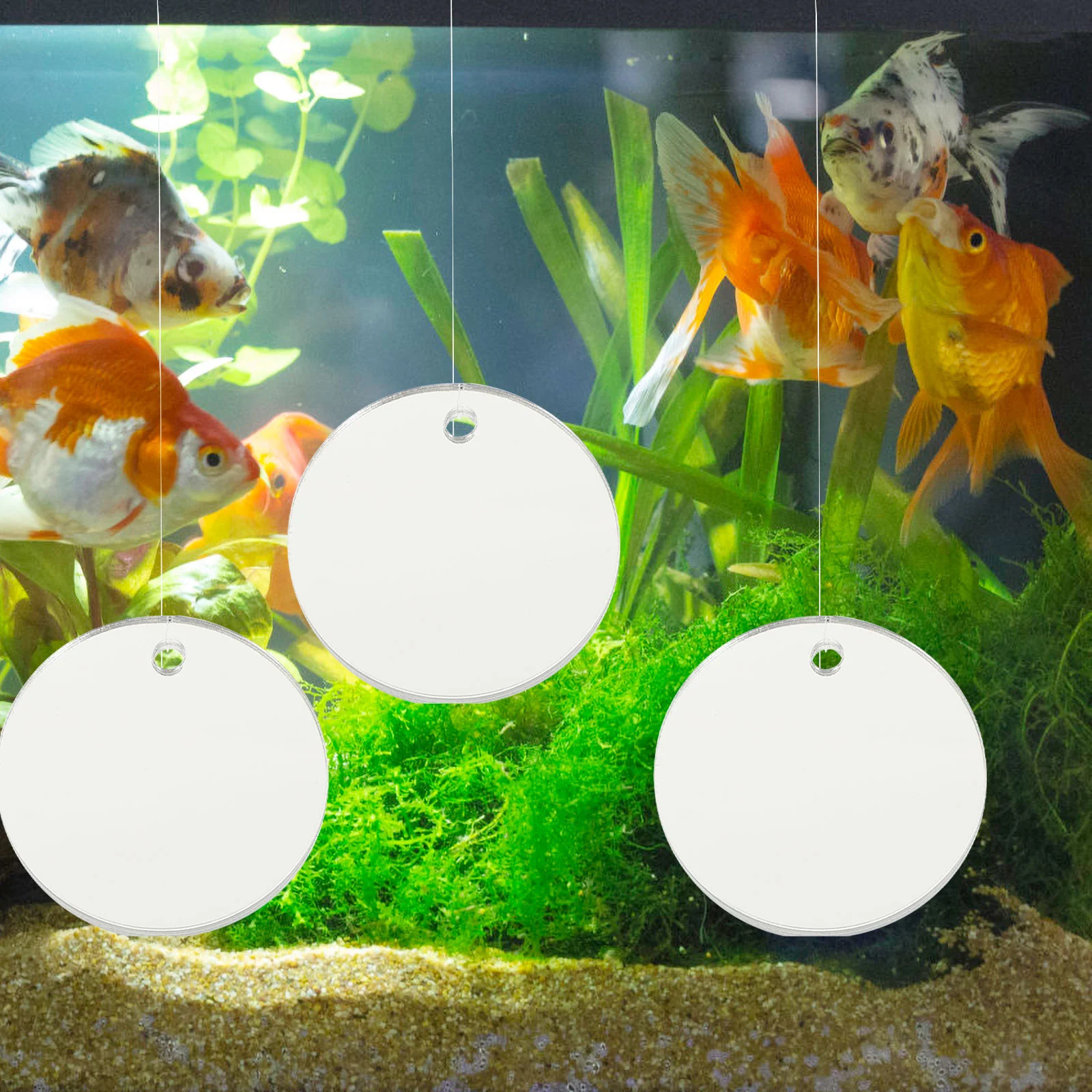 

4Pcs Aquarium Fish Mirrors Round Floating Betta Mirrors Fish Tank Mirrors Fish Accessory