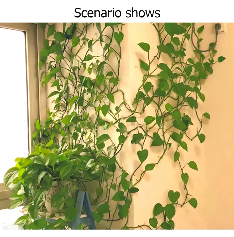 60 Clips Support Plantes DLPRK - Auto-adhésifs Blancs Et Verts Pour Plantes Grimpantes