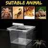 Transparent  Portable Reptile Insect Breeding Box Small Pet Observation Container Best Seller Spider Lizard Keeping Container 2