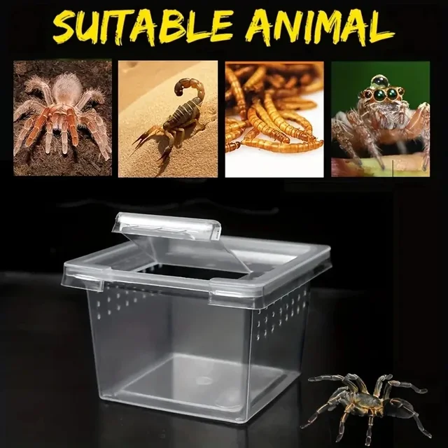Transparent  Portable Reptile Insect Breeding Box Small Pet Observation Container Best Seller Spider Lizard Keeping Container 2