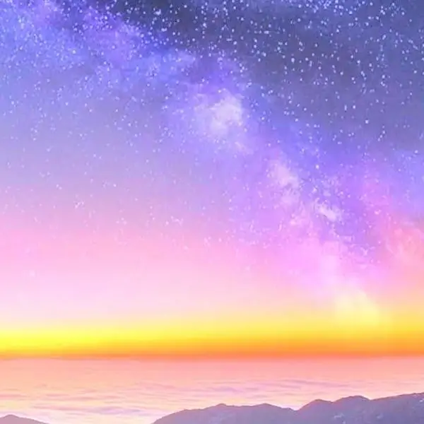 Shop1104049095 Store