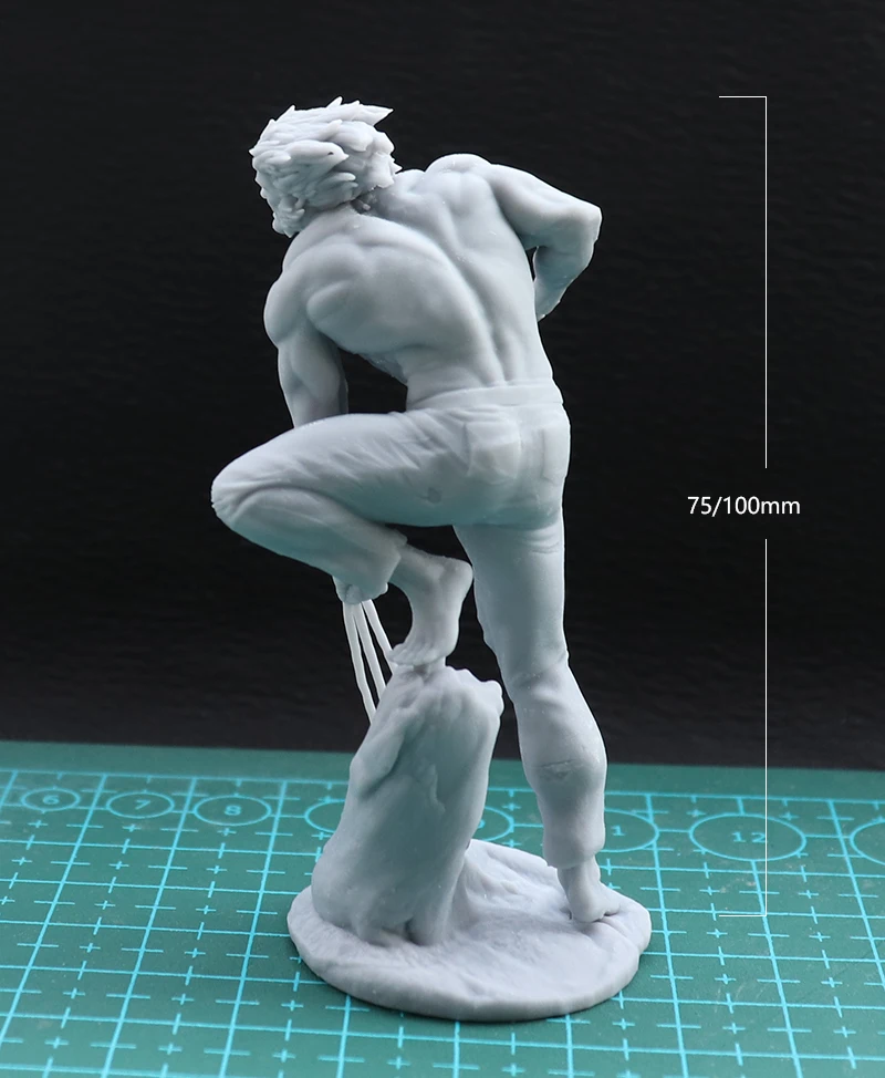 1/24 75mm 1/18 100mm Resin Model Kits Wolfman Figure Unpainted No Color RW-803
