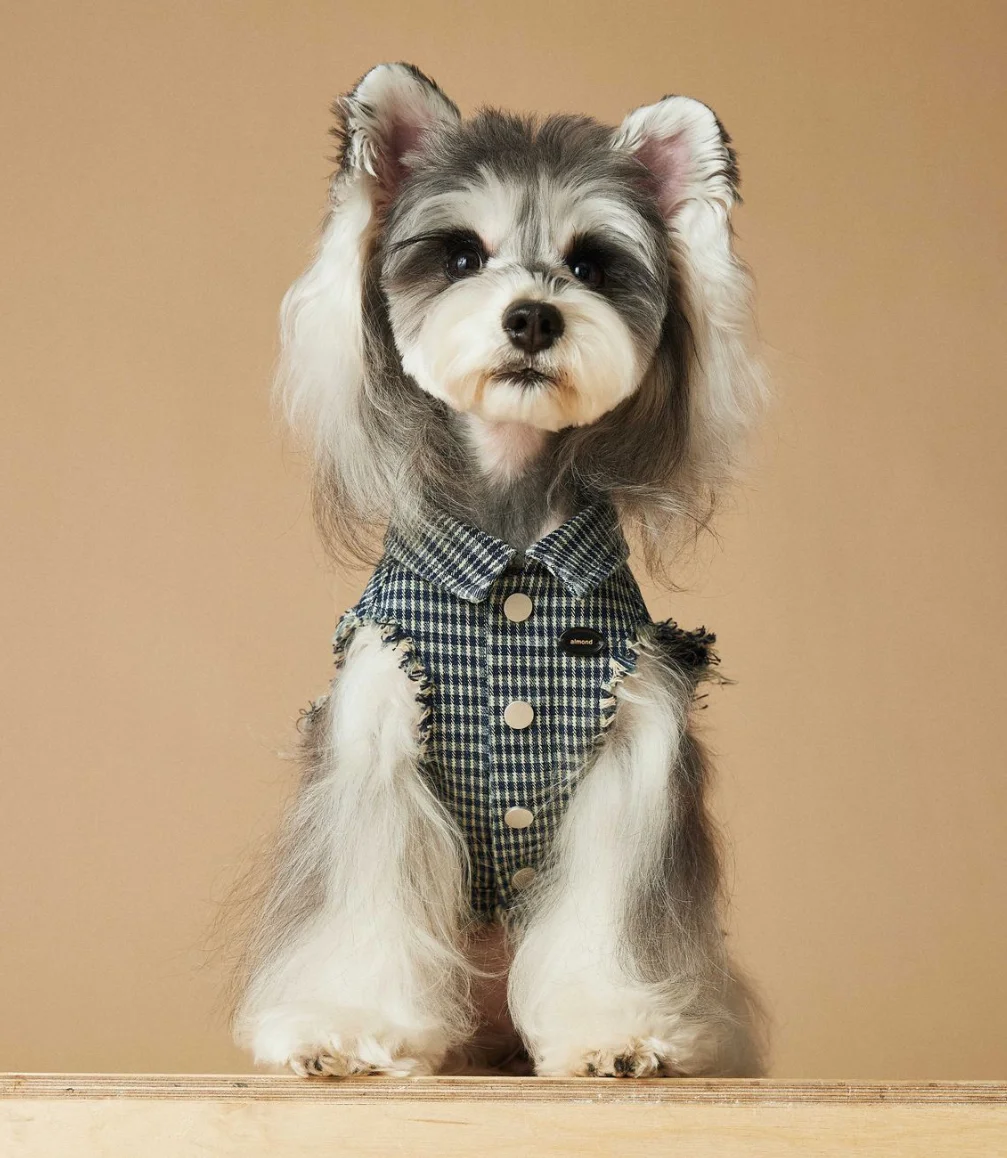 Sleeveless Cowboy Vest for Dogs, Tony Bears Dog Tank Top, Teddy, Schnauzer Bears, Marquis, Love, Spring, Summer, New