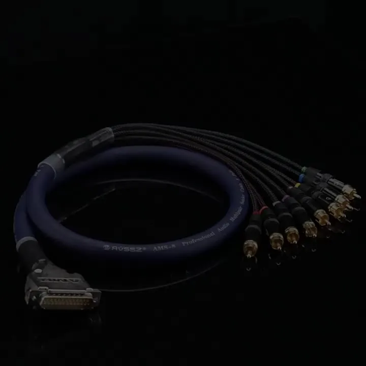3.28ft DB25 To XLR Snake Cable,DB25 Male To 8Channel 3Pin Male Balanced