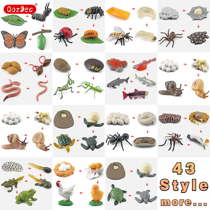 

OozDec Life Cycle Learning & Education Montessori Toys, 43 Style Animal Figurines of Frog, Butterfly, Chicken, Mantis, Age 3+