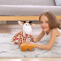 1 pièce Jouets en peluche dentaires avec modèle de dents et brosse à dents, animaux en peluche mignons et doux pour enfants, cadeau pour garçons et filles, clinique dentaire 3