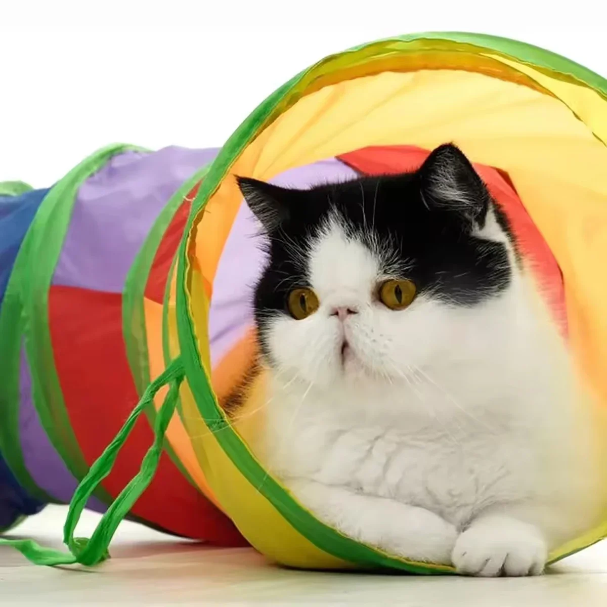 Cat Tunnel Tube Foldable Cat Toys
