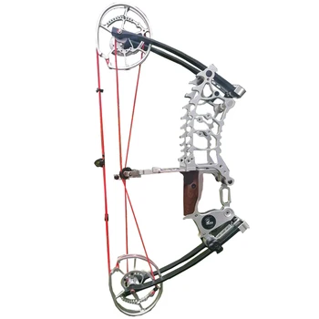 30-70Pound Compound Pulley Bow -Steel Ball - Outdoor Hunting and Shooting Practice Package Left Right Hand Hunting Bows 5