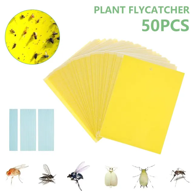 Type5-50pcs