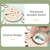 Montessori Animals Plant Insects Life Cycle Board Growth Cycle Science Education Toys Sensory Tray Kid Open-ended Wooden Toys 2