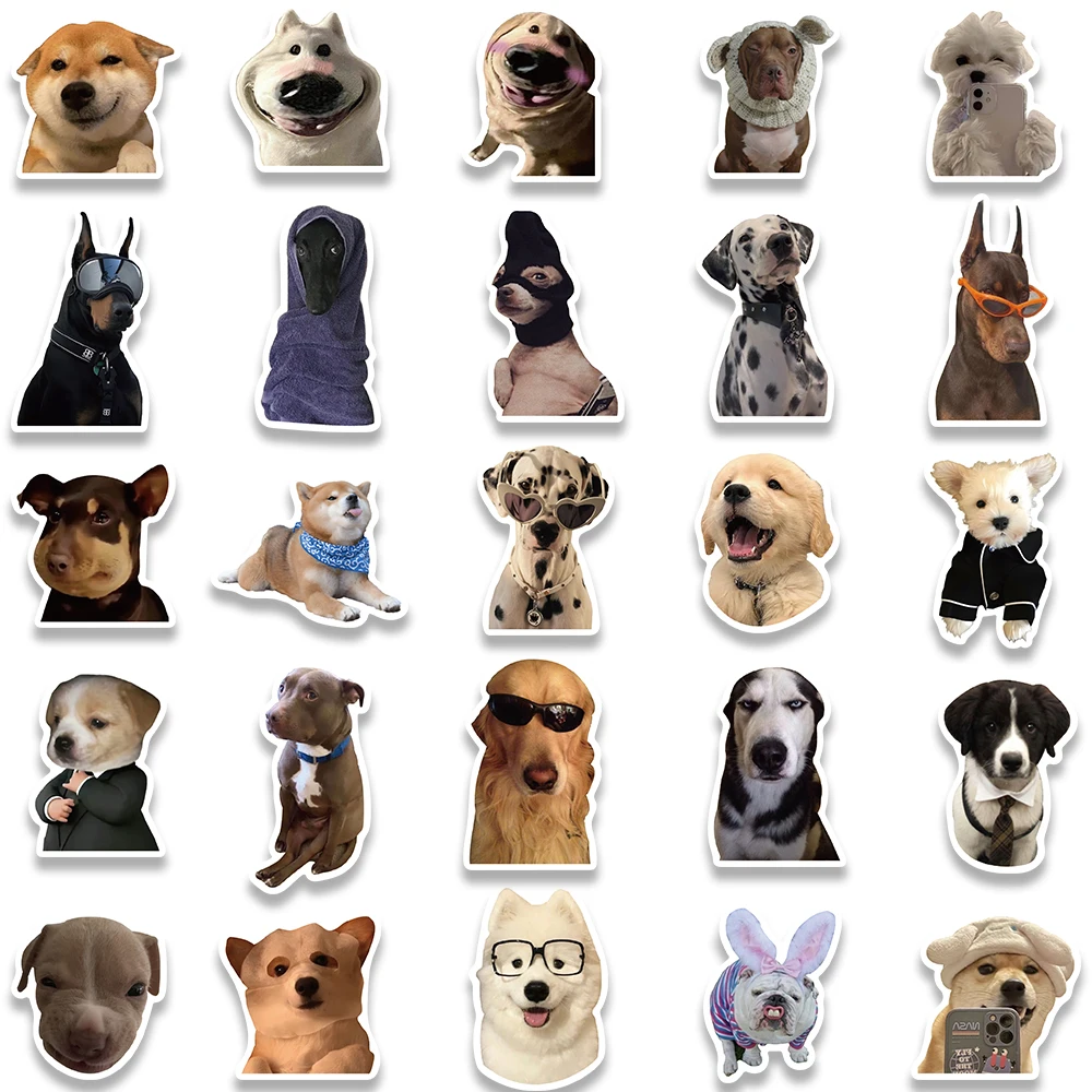 10/30/50/100 Stück süße Hund Katze MEME lustige Tiere Aufkleber Kawaii Cartoon Aufkleber Skateboard Notebook Gepäck Telefon Auto Aufkleber Spielzeug – Detail 7