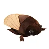 48CM Simulation Cicada Plush Toy Lifelike Summer Insects in Trees Cicada Doll Soft Animal Pillow For Kids Boys Xmas Gifts 1