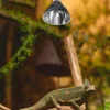 Reptile Lampshade Bearded Dragon Light Fixture Heats Basking Terrarium Dome Uvb Covers 6