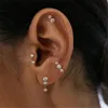 3PCS Casual Cubic Zircon Tassel Hanging Stud Earrings Set for Women Girls Dainty Zircons Tiny Piercing Ear Helix Jewelry Gifts 4