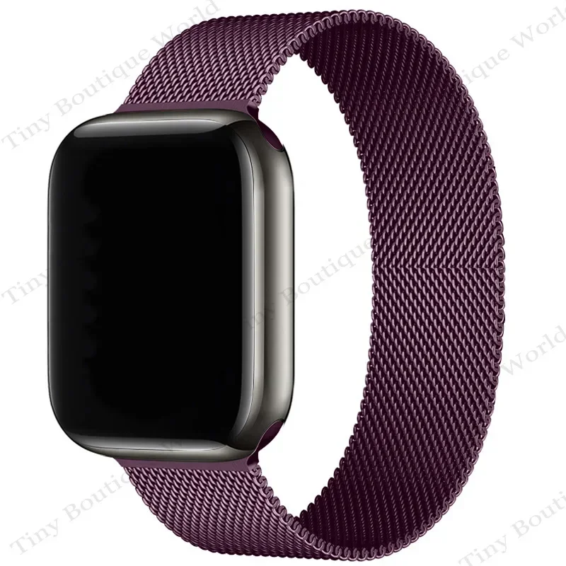 Magnetic Stainless Steel Loop Strap