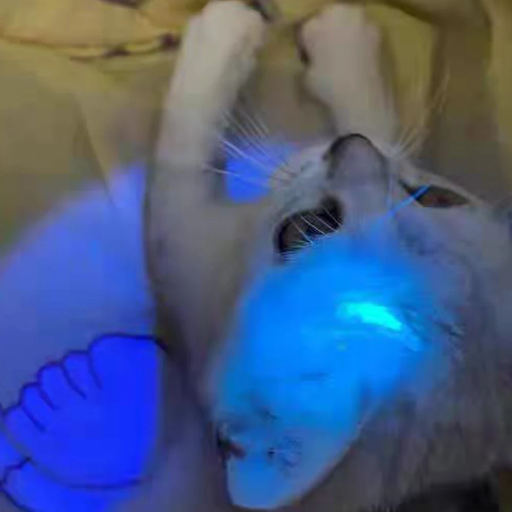 UV inspection lamp 365/395 mini portable lamp LED ultraviolet jade identification money inspection cat moss inspection Tcosqy
