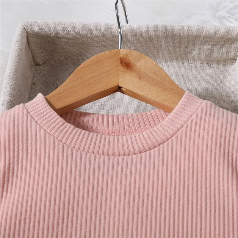 

Little Girls Autumn 2 Piece Outfits 1-6T Kids Long Sleeve Crewneck Sweatshirt Tops Pink Plush Skirt Set