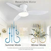 Modern Led Ceiling Fan Lights DC Motor 6 Speeds Timing Fans Low Floor Loft Remote Control Fan With Lights Bedroom Dining room 2