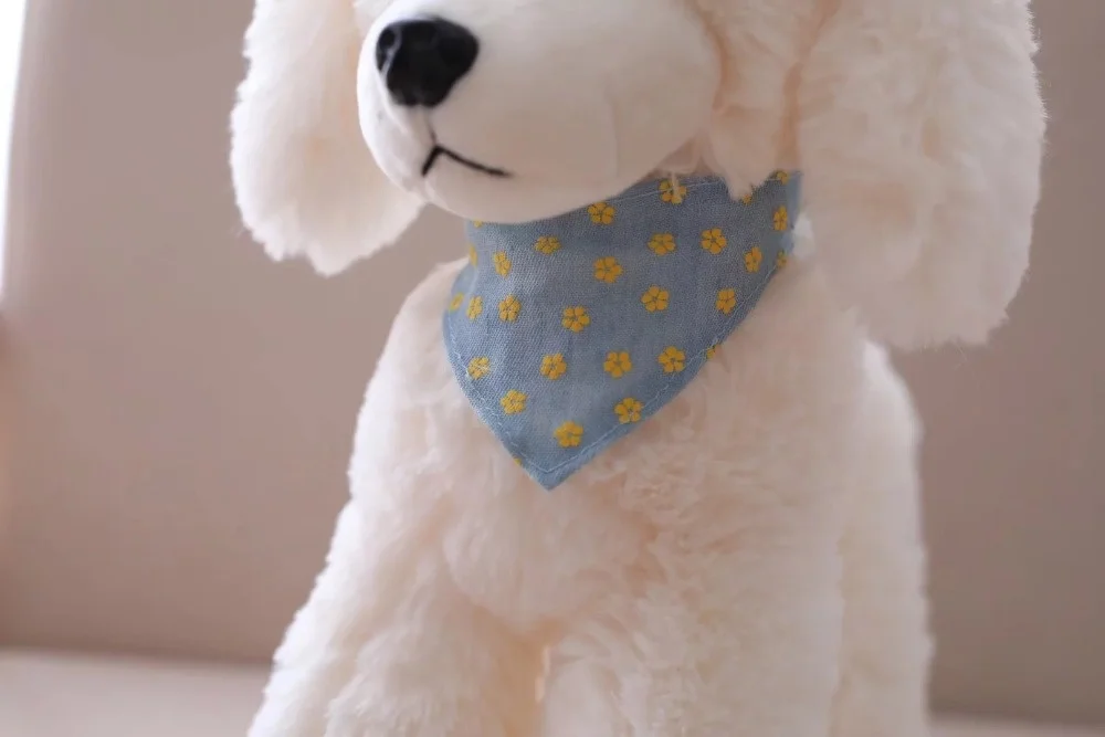 4704562075_722821172