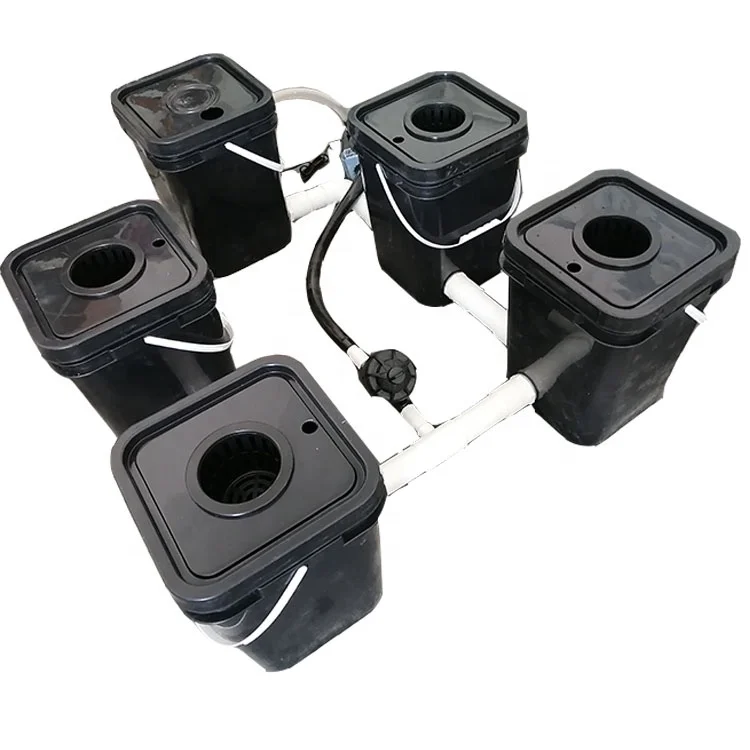 DWC Rdwc Automatic Aeroponics System for Garden Greenhouse 5 Buckets