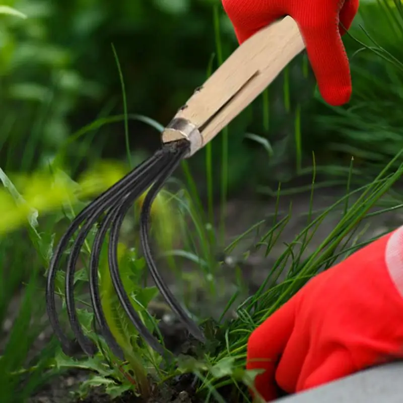Dual Use Small Hoe Farm Garden Tools Small Lawn Rake Weeding Rake Labor-saving Loosening Soil Handheld Hoe 3