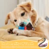 6Pcs Squeaky Balls Toys Dogs Interactive Toys TPR Dog Chew Toy for Dog Pet Teeth Cleaning Bite Resistance  Pet Supplies 5