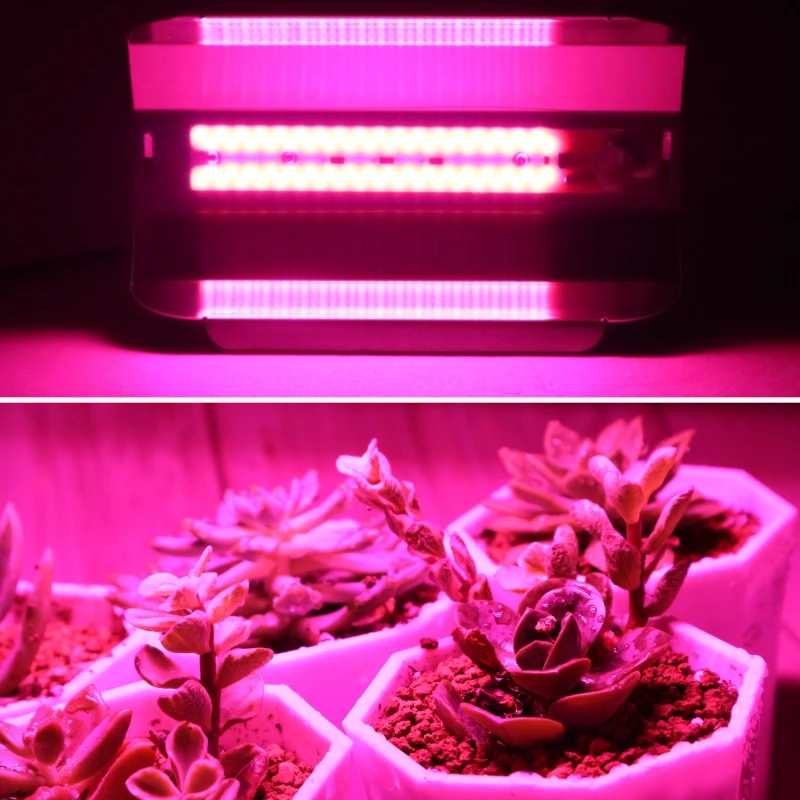 30W 50W 80W LED Grow Light AC 110V 220V Growth Floodlight Full Spectrum Indoor Plant Light Greenhouse Cob Flood Grow
