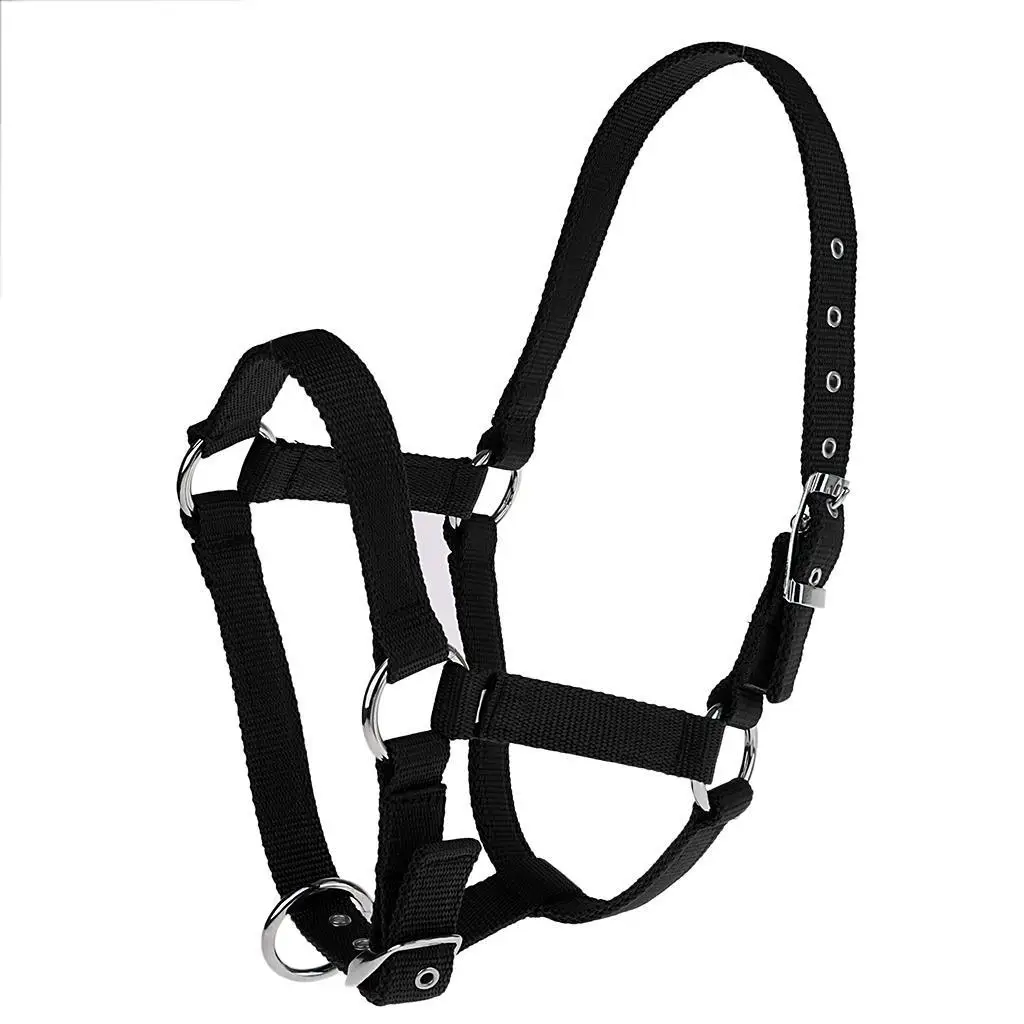 Adjustable Nylon Webbing Equestrian Western Horse Halter Horse Riding Wear Black L 5