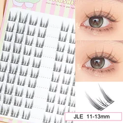 Sunflower Lashes - Brown Manga-Inspired Natural Soft Eyelashes, Large Capacity - C (JLE)