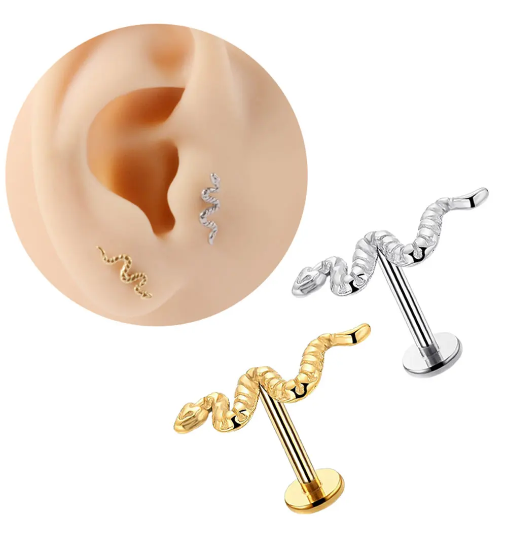 Trendy Ear Studs