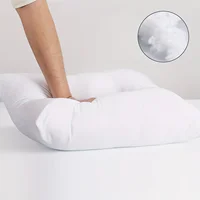 Coussins d'oreiller 2 pièces, coussin de canapé doux et Durable, Inserts d'oreiller moelleux, pour salon, canapé-lit, décoration de la maison 3