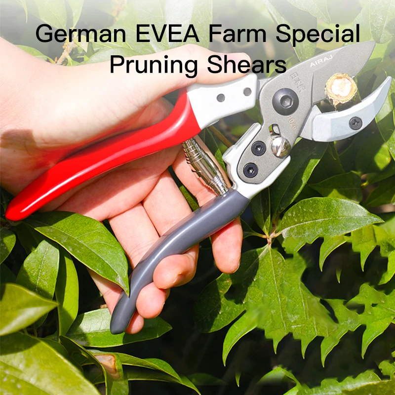 Professional Garden Pruning Shears 5