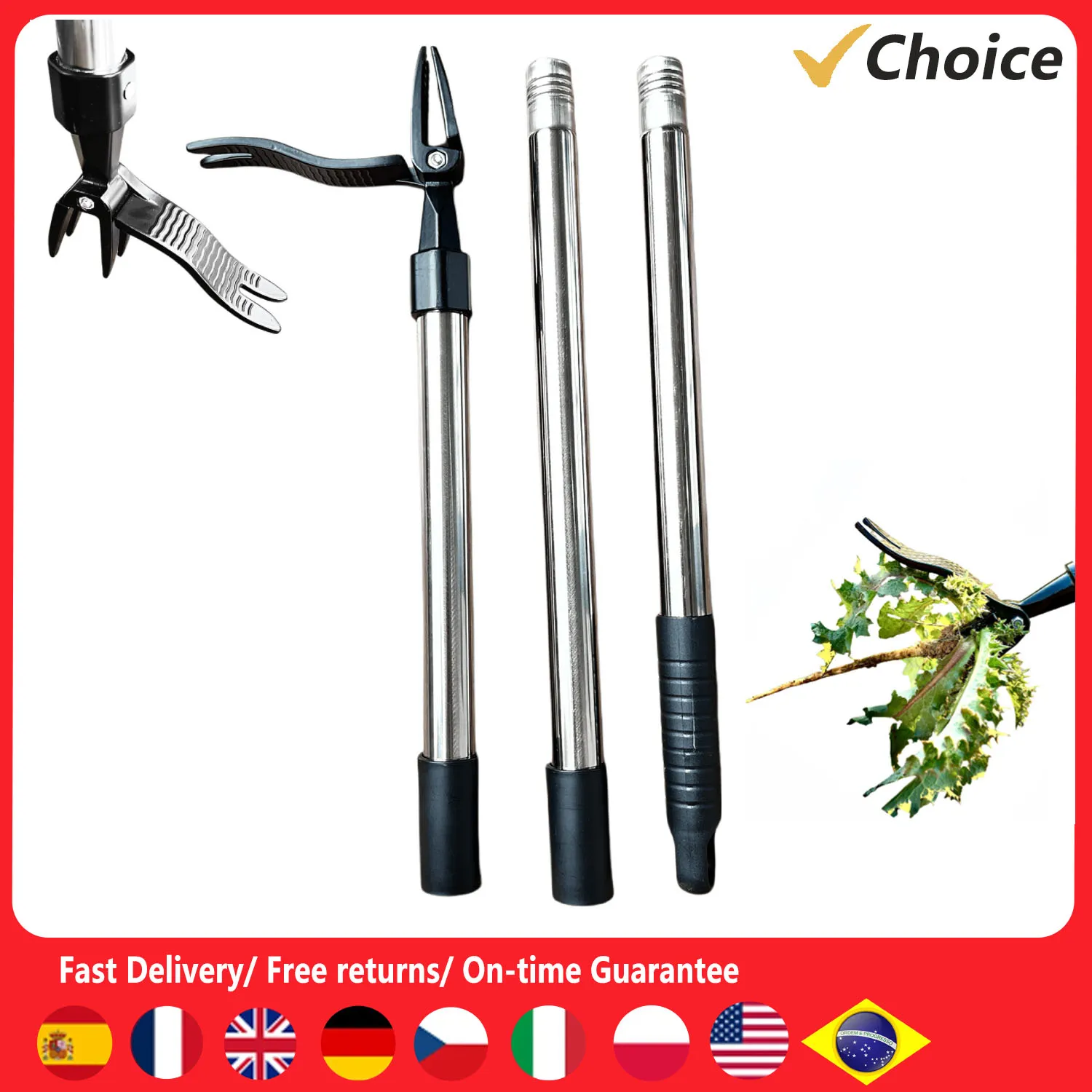 dsc-products
