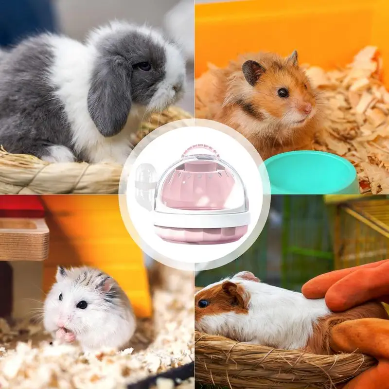 Small Pet Carrier with Water Feeder Hamster Travel Cage for Guinea Pig Hedgehog Pet Bag Ferret Accessories Portable Out House pet carrier