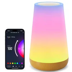 Smart RGB Touch - Control WiFi Table Lamp with USB Rechargeability and Voice Activation (1PCS)