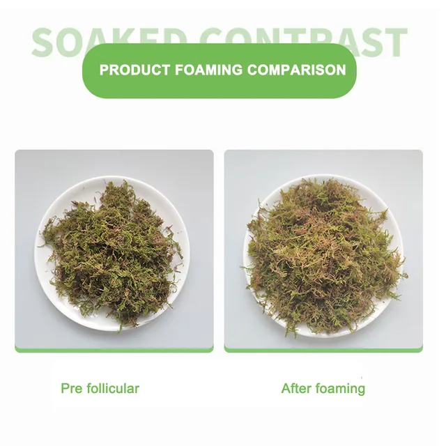 Száraz Sphagnum Mohával Szárított Víz Mohás Természetes Moha Phalaenopsis Dedikált Táplálkozási Orchideák Pozsgás Növényekhez - Image 2