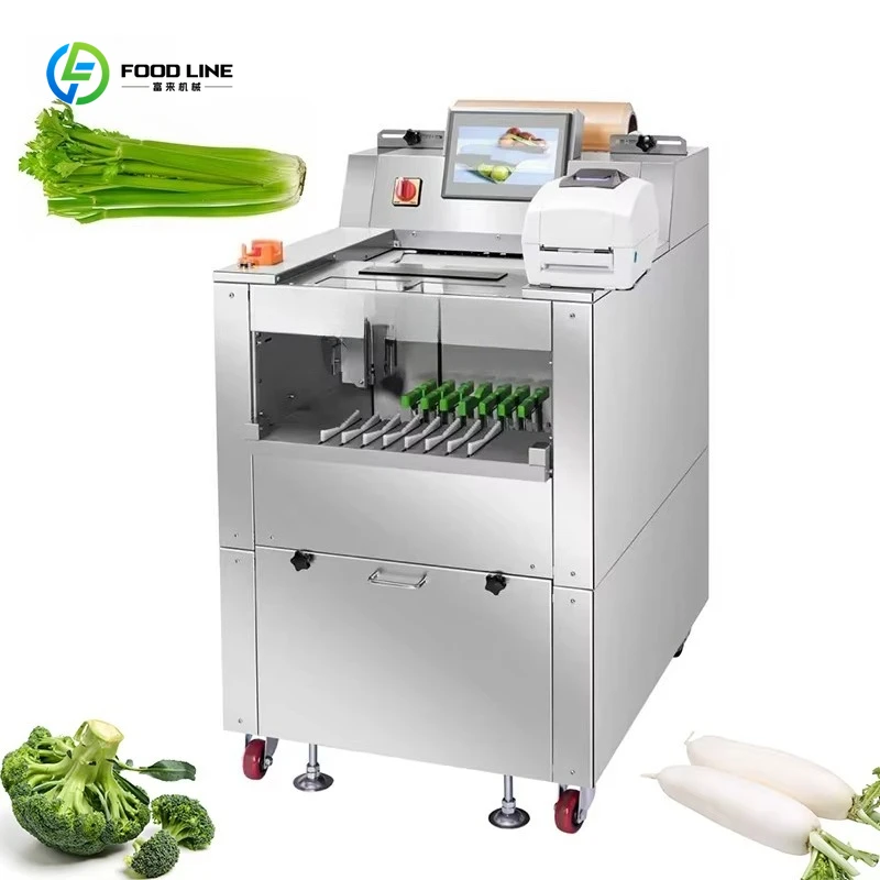 Macchina per Imballaggio in Plastica di Grandi Dimensioni Personalizzata per Scatole di Grandi Dimensioni, Attrezzatura per Imballaggio Completamente Automatica