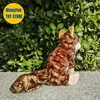 Realistic Coyote High Fidelity Brown Wolf Plushie Dog Plush Toys Lifelike Animals Simulation Stuffed Doll Kawai Toy Gifts Kids 5