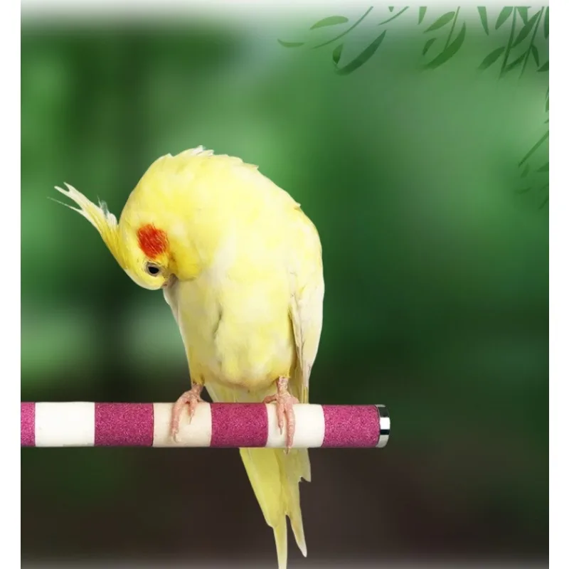 Bird Cage Accessories 16cm Bird Claw Beak Grinding Bar Standing Stick Parrot Station Pole Bird Supplies Parrot Grinding Stand Claws Cage Accessories