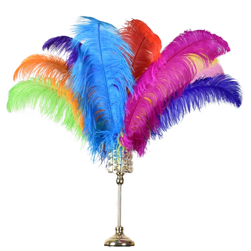 Ivory Ostrich Feathers Male Wing Plumes 24-26 inches 12 Pieces