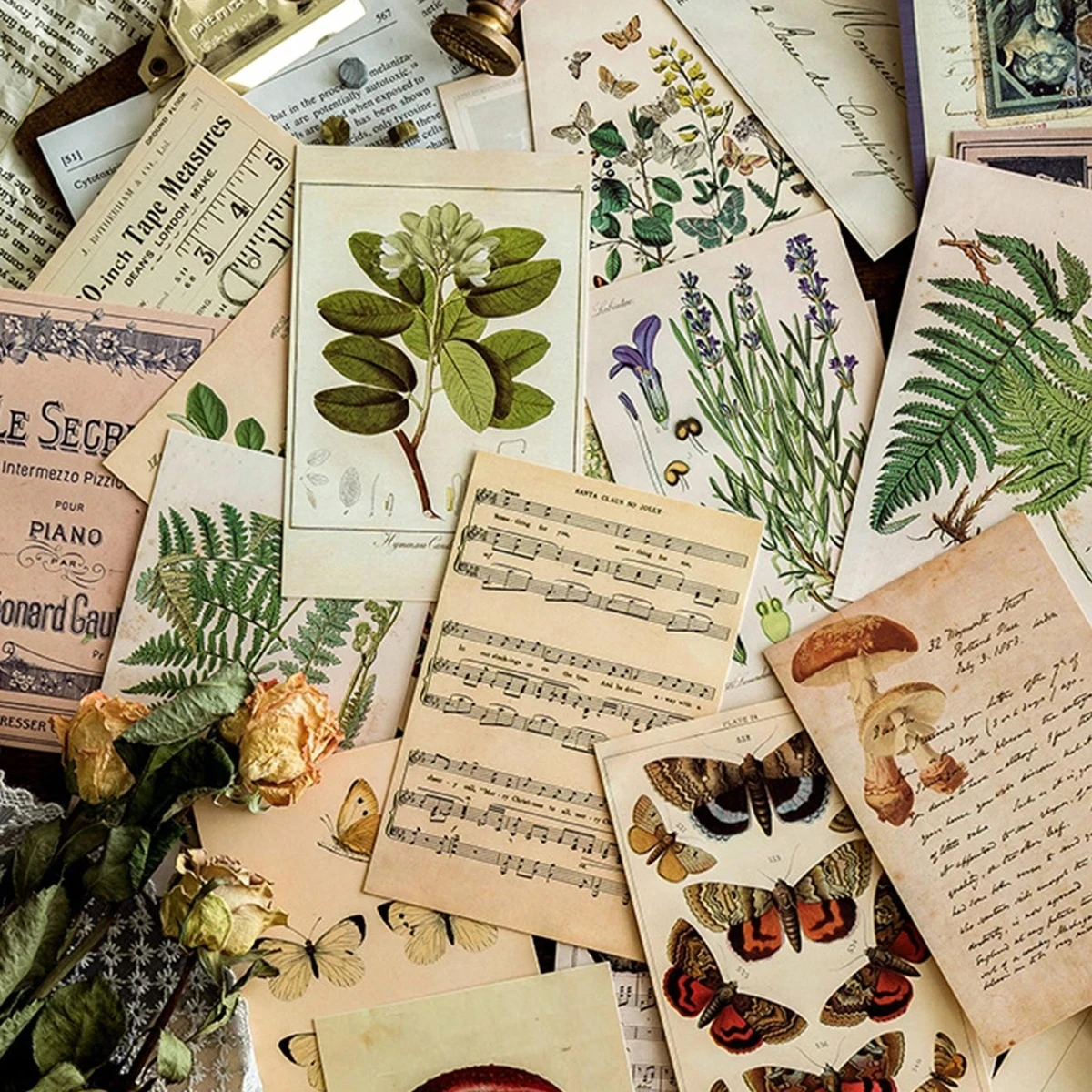 Retro Ancient Forest Animals Plants Specimen Postcard Vintage Creative Writing Greeting Postcards Diar Journals DIY 30 pcs
