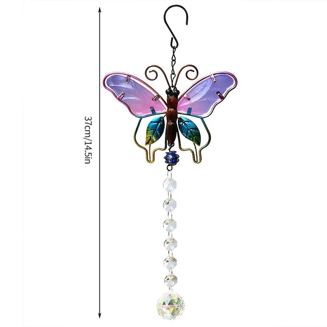 butterfly B