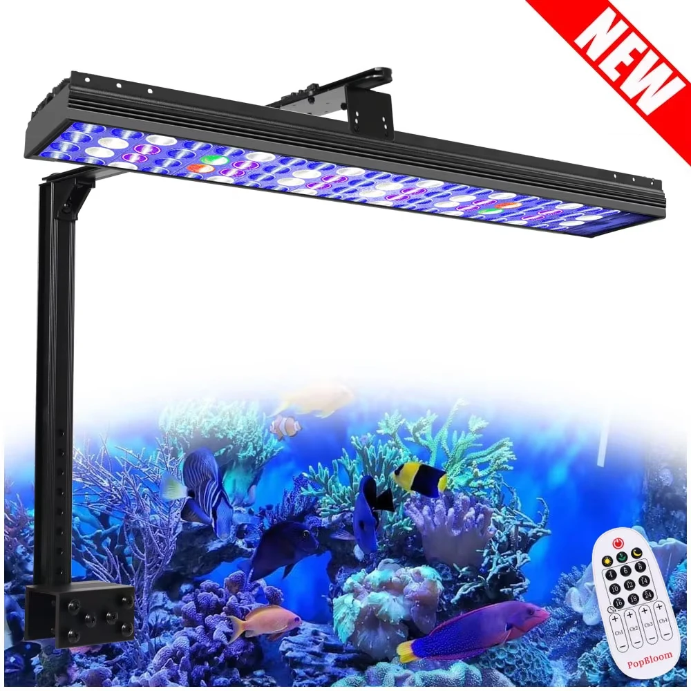 Led Lighting for Marine Ornamental Show Tanks: Brighten & Beautify