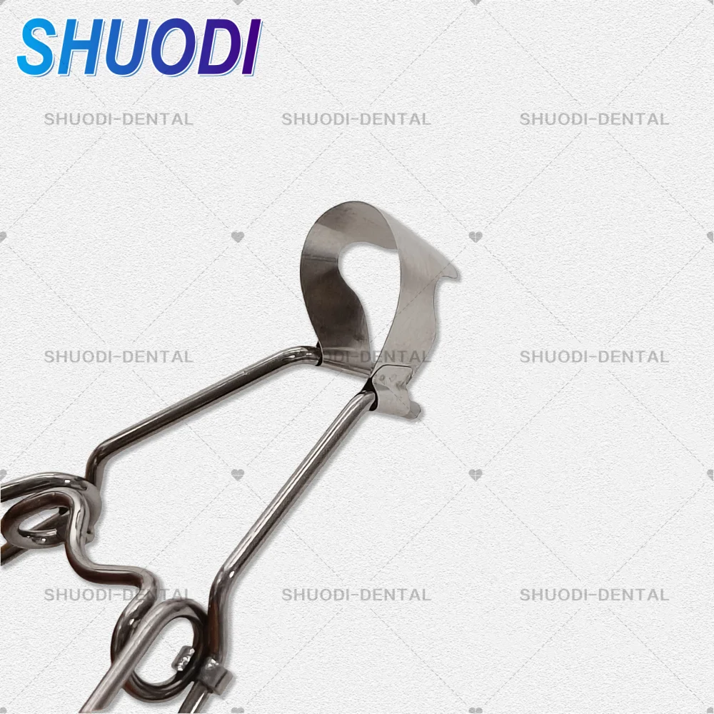 30Pcs Dental Anterior Matrix Bands - 0.03mm Stainless Steel Contoured ...