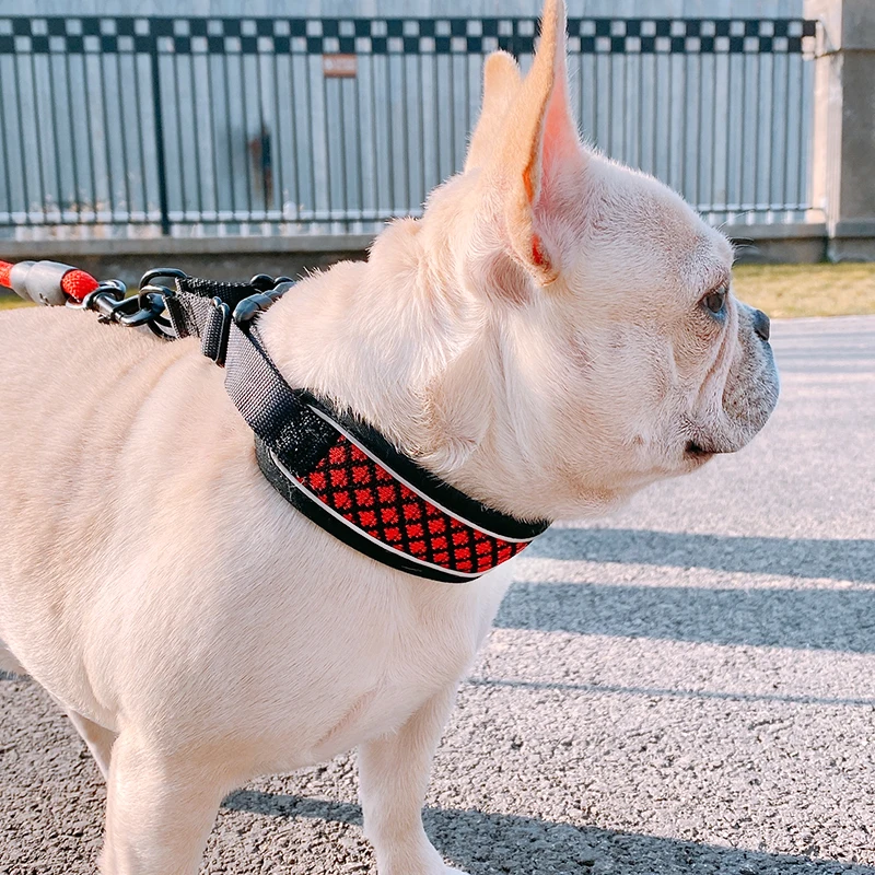 dog collar for french bulldog