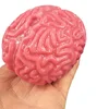 Novelty Squishy Brain Toy Squeezable Fun Toys Relieve Stress Ball Cure Cartoon Animal Squeeze Nostress Toys Kids Adults Toy 2