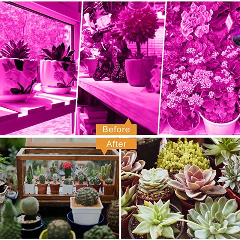 Clip Grow Light Bulb ,Full Spectrum LED Grow Light , 320W Equivalent Plant Bulb for Seeding , Growing ,Bonsai, E27 Base