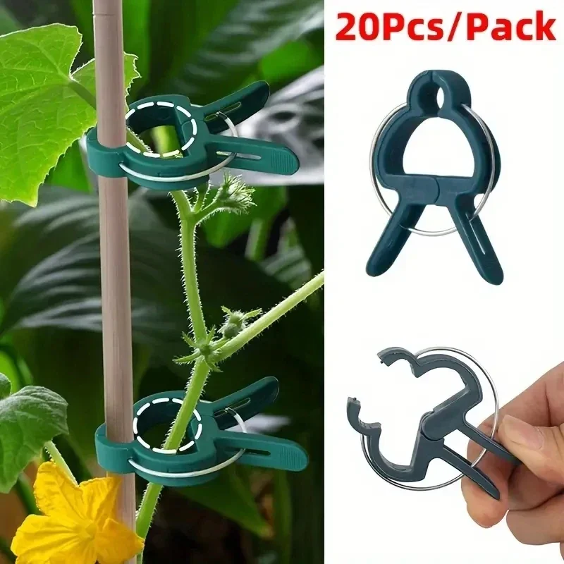 20pcs Gardening Phalaenopsis Garden Set Tomato Plant Fixing Clips Plastic Clips Gardening Tools Plant Accessories  Plant Clips