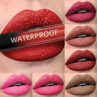 19 colors Matte Velvet Lip Gloss Waterproof Liquid Lipstick Nude Black Lips tint Makeup Lip Glaze Cosmetics Red Lip Stain Beauty 1